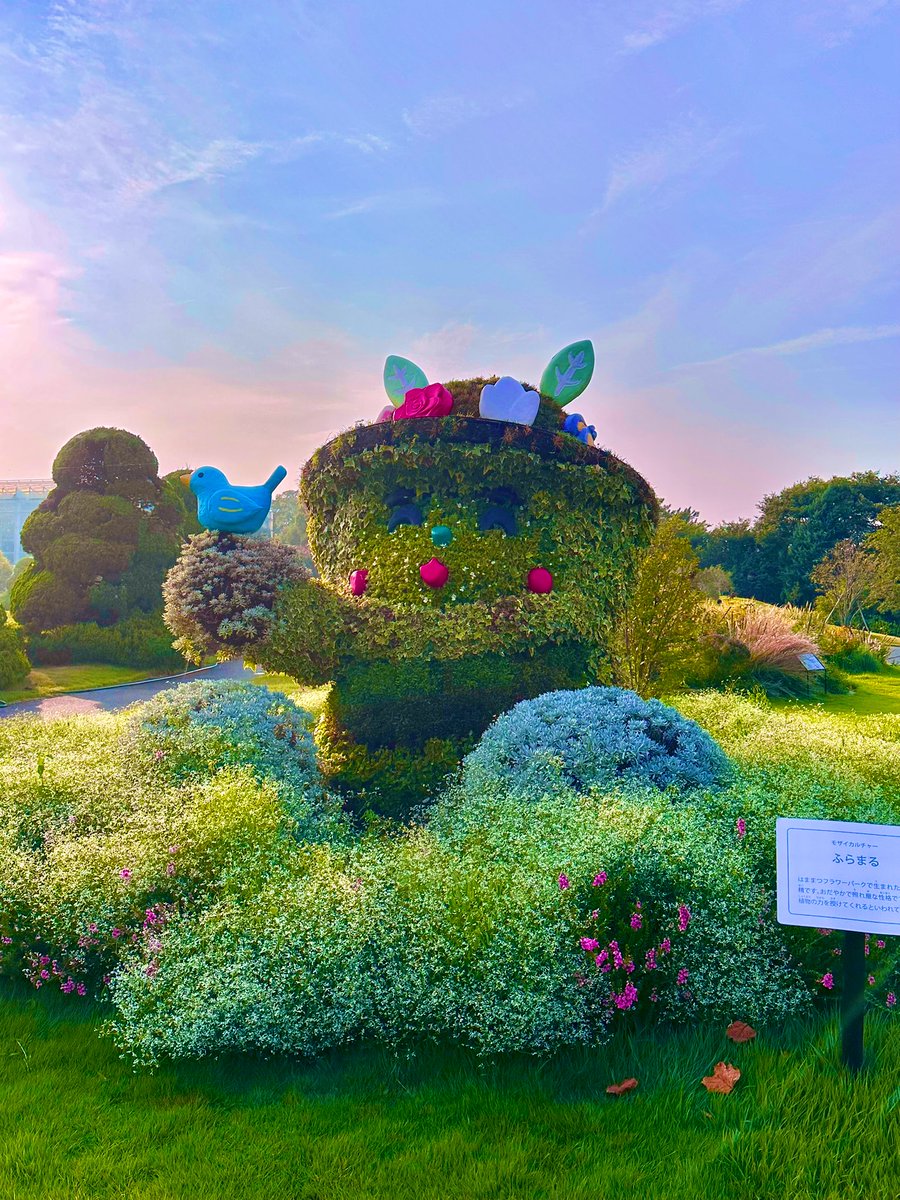 シェリー (@PSdceZuWHh6SPjj) / Posts / X