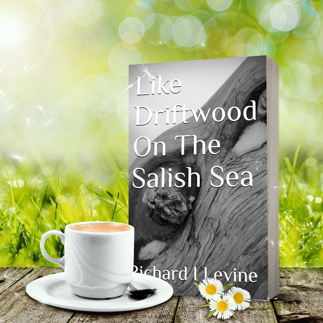 𝑳𝒊𝒌𝒆 𝑫𝒓𝒊𝒇𝒕𝒘𝒐𝒐𝒅 𝒐𝒏 𝒕𝒉𝒆 𝑺𝒂𝒍𝒊𝒔𝒉 𝑺𝒆𝒂 takes readers on an immersive journey that is so much more than a romance. ~ <a href="/kristinethall/">Hall Ways Blog</a> 
pictbooks.tours/V10G2sOL
<a href="/Your_In8_Power/">Richard I Levine</a> #ReadersFavorite #UndyingLove #SecondChances #RomanticReads #Bookworms #GoodReads