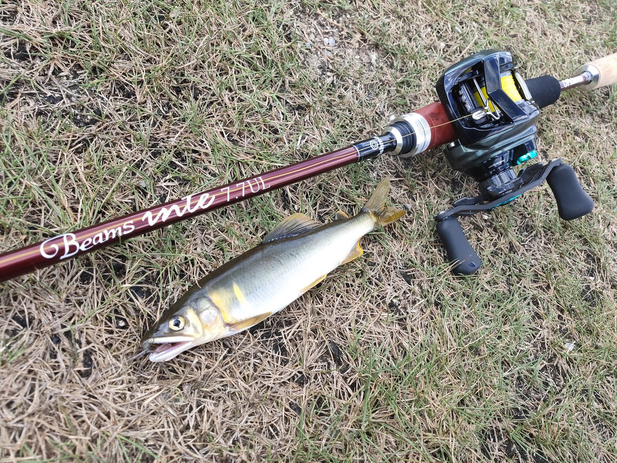 ほーぷれす🎣釣りYouTube&ブログ tweet media