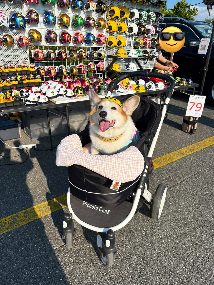 【レア】corgi classic commercials コーギー hq720.jpg?sqp=-