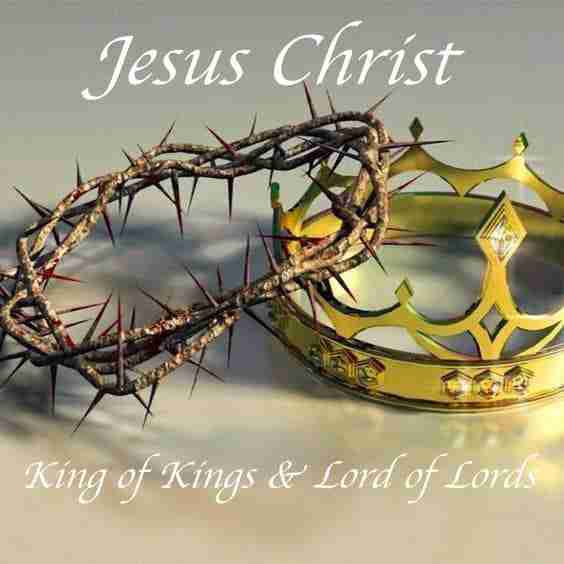 Good morning from Texas! Christ is King! 👑 ✝️🙏🏼