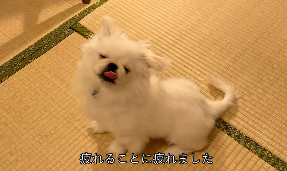 CHIEN様♡ありがとうございます♡ CHIEN様♡ありがとうございます♡