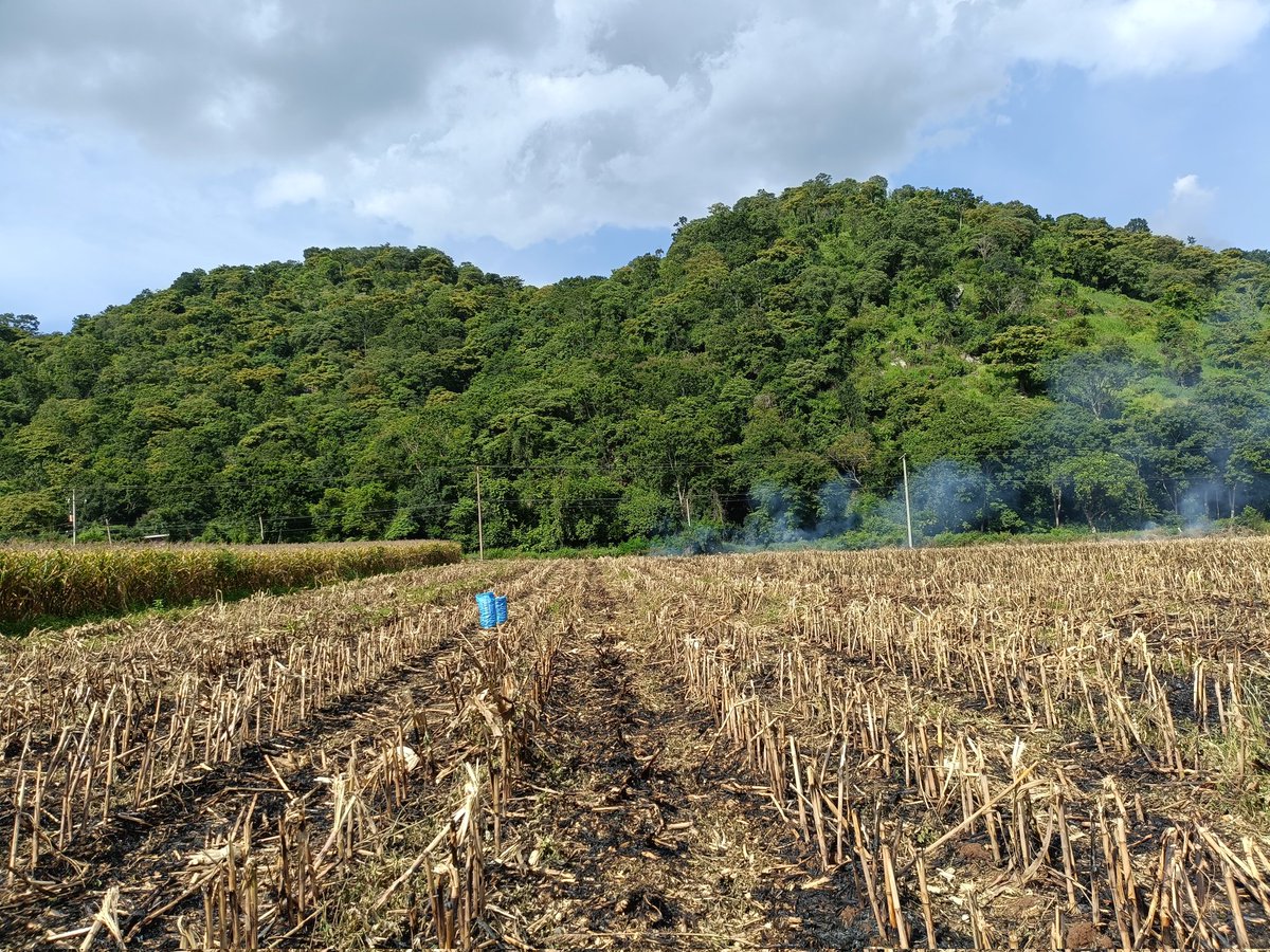 วิวบ้านเรา❤️