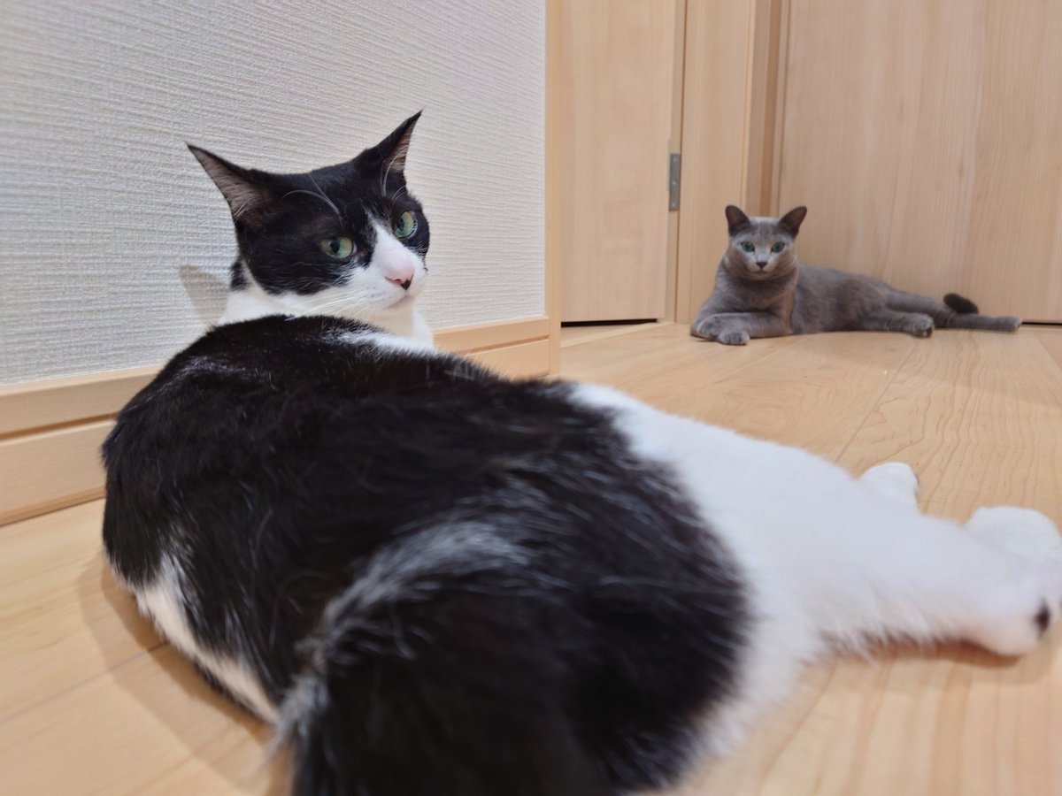 今日も一日お疲れ姉妹
