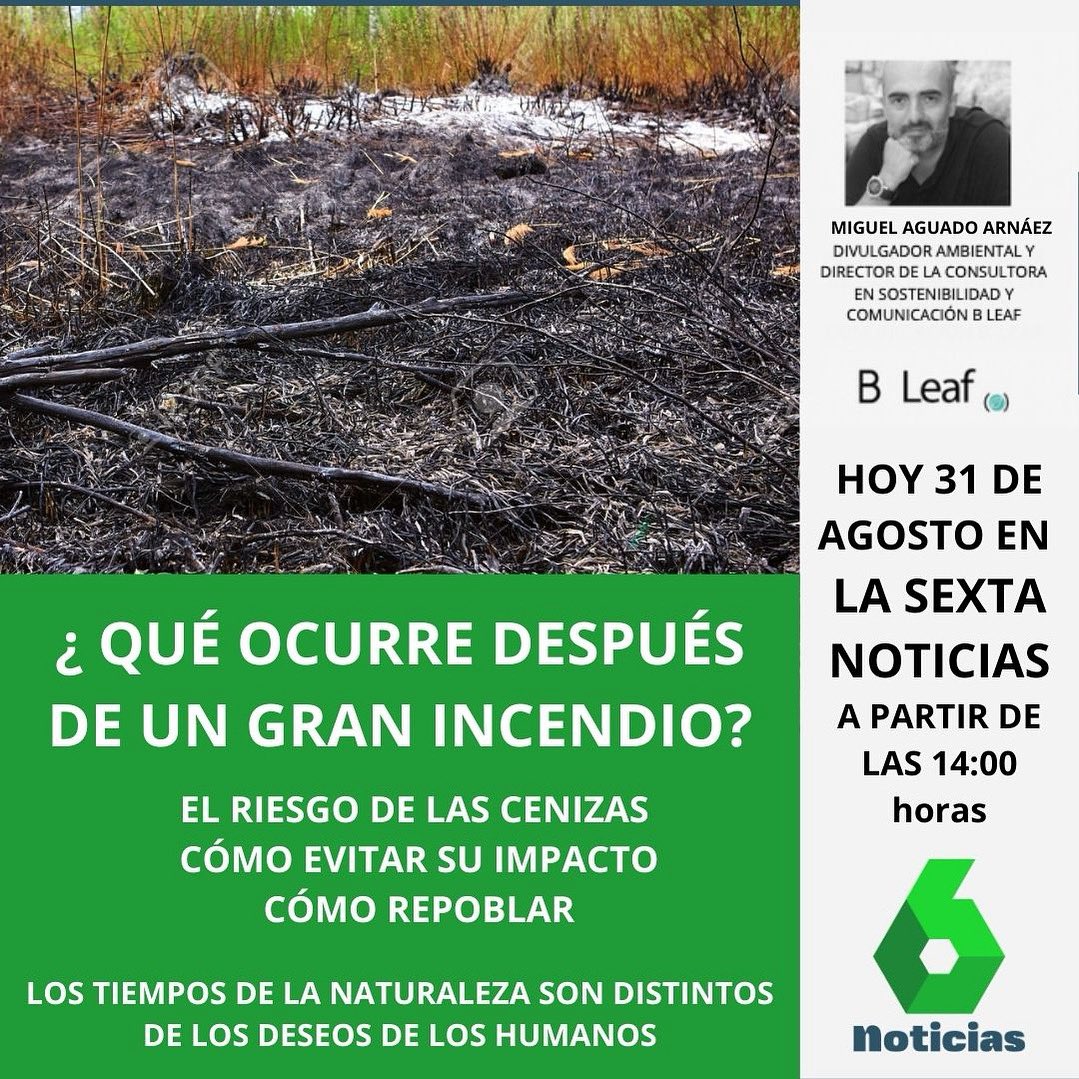 Hoy en <a href="/sextaNoticias/">laSexta Noticias</a>  hablaremos sobre lo
que ocurre después del incendio: cenizas, replantar…Los ritmos de la naturaleza son distintos de nuestros deseos