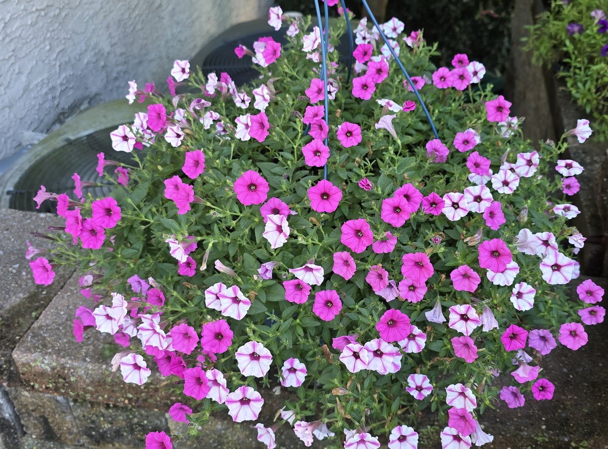 <a href="/KerstiSandstrom/">Kersti Sandström</a> Happy Sunday!!