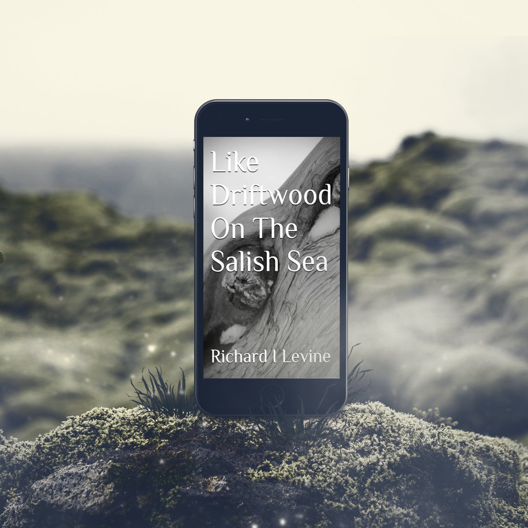 This emotionally compelling novel offers a poignant portrayal of the challenges faced by those who have served in the military. - Partners in Crime #BookReview of LIKE DRIFTWOOD ON THE SALISH SEA by Richard I Levine

pictbooks.tours/yCYj0gdB

#RomanceReads #BookRecommendation