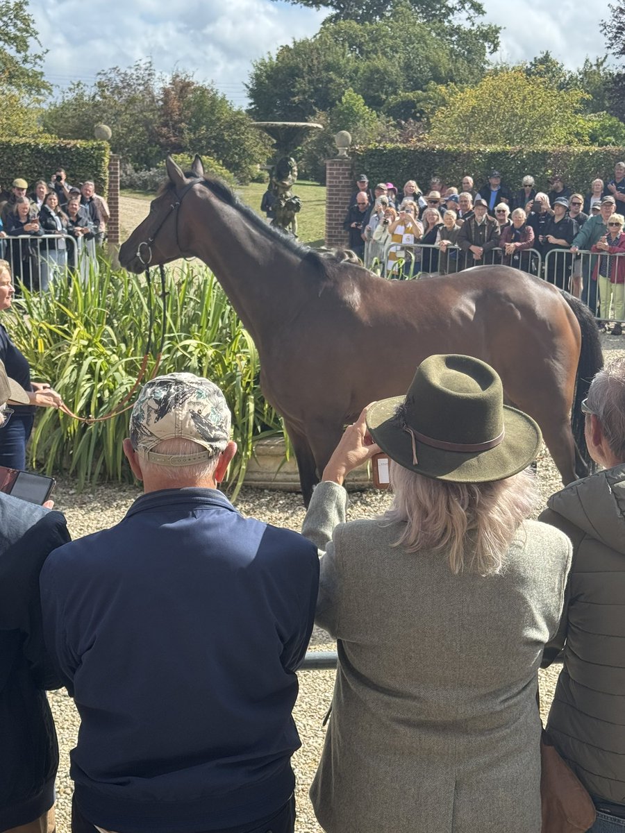 mick fitzgerald (@mickfitzg) on Twitter photo Paddy de Pole <a href="/PFNicholls/">Paul Nicholls OBE</a> open morning for <a href="/OldGoldRacing/">Old Gold Racing</a> Paddy de Pole <a href="/PFNicholls/">Paul Nicholls OBE</a> open morning for <a href="/OldGoldRacing/">Old Gold Racing</a>
