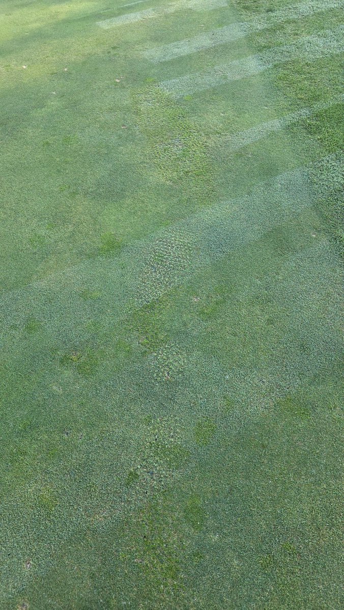 Nick (@nickpags_turf) on Twitter photo  Nick (@nickpags_turf) on Twitter photo