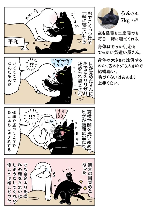 ぽろんさんまとめて AKR｜7巻でたよ@bou128の漫画作品一覧