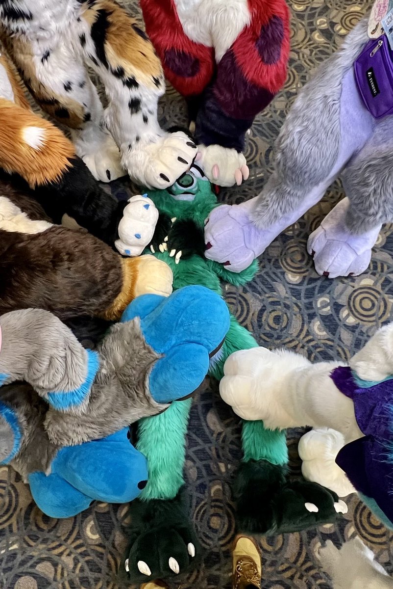 DukeDoggo's tweet image. Since it&apos;s the last day of #Pawgust , please rest your paws right here~🐾