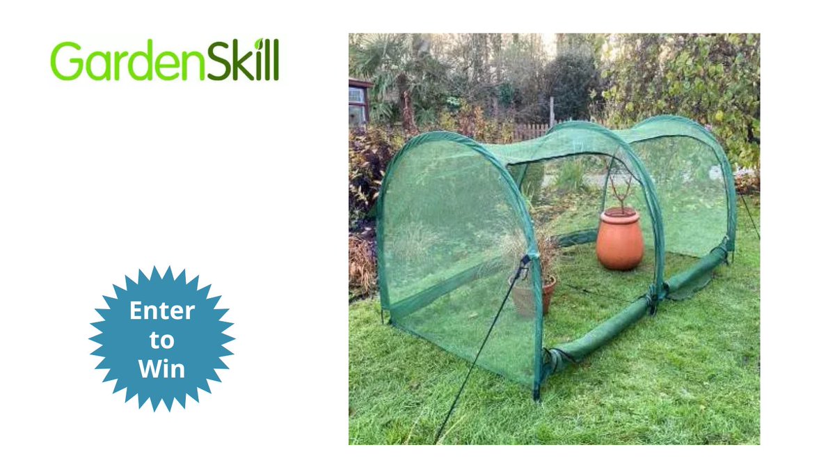 allotmentonline (@allotmentonline) on Twitter photo Enter for the chance to win a Pro Gro Net Tunnel Cloche from <a href="/gardenskill/">GardenSkill</a>!
Follow <a href="/gardenskill/">GardenSkill</a>, tag/ then enter online at allotmentonline.co.uk/win-a-pro-gro-…
All giveaways close at MIDNIGHT tonight.
#win #giveaways #allotmentsuk #allotments #gardening #nationalallotmentweek2025 Enter for the chance to win a Pro Gro Net Tunnel Cloche from <a href="/gardenskill/">GardenSkill</a>!
Follow <a href="/gardenskill/">GardenSkill</a>, tag/ then enter online at allotmentonline.co.uk/win-a-pro-gro-…
All giveaways close at MIDNIGHT tonight.
#win #giveaways #allotmentsuk #allotments #gardening #nationalallotmentweek2025