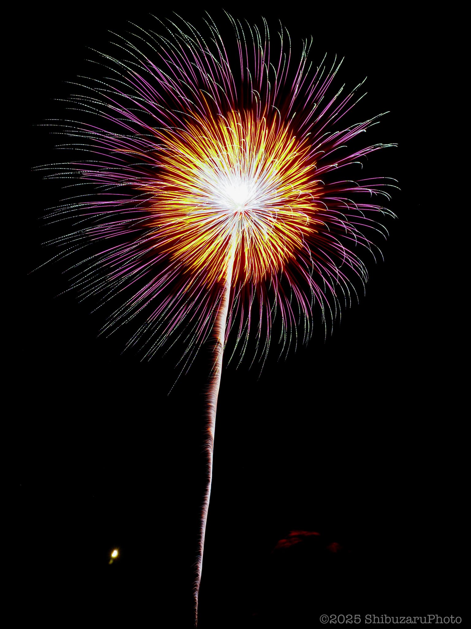 大花火 赤川花火大会2025 2025/8/16 α7RV 25mm F13 ISO100 SS10