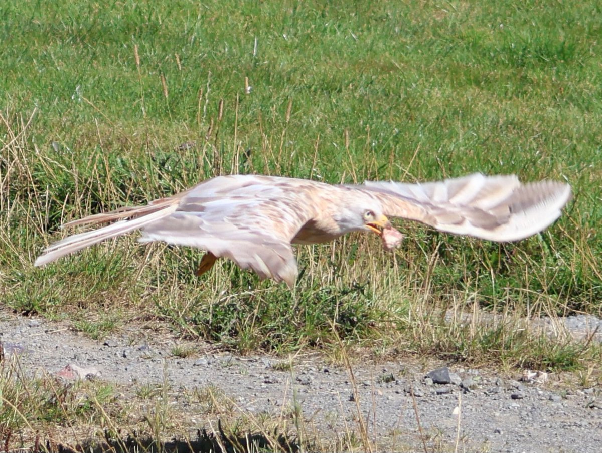 Dr Emma Preece tweet media