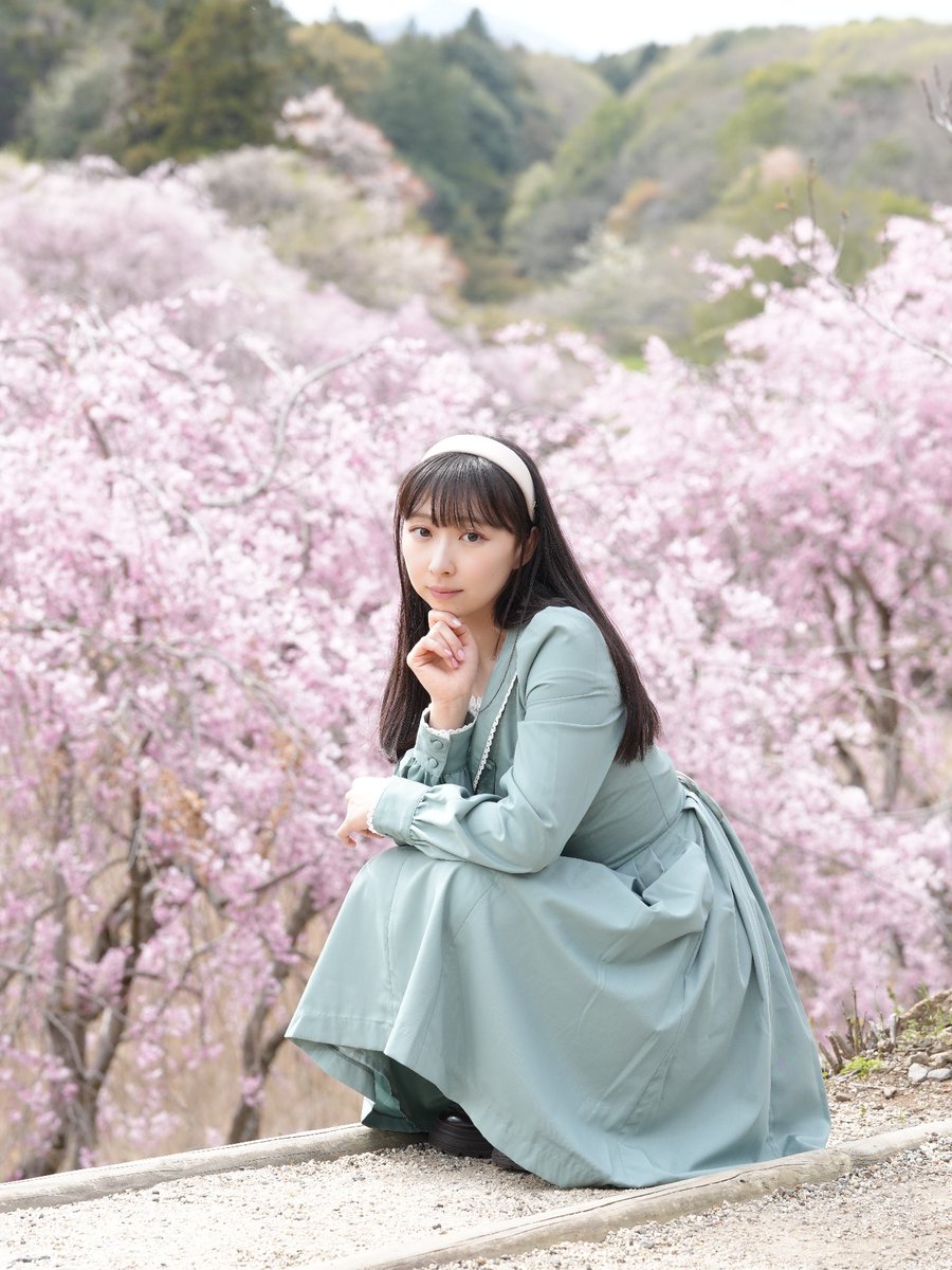 mheeeeh's tweet photo. 【はなももさん感謝企画】12
2024年春　圧巻の桜の中で https://t.co/VvVas754Tj