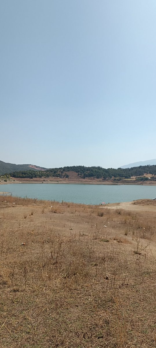 Evettt simdi 🐟 fish tutma zamanı 🤗🤗🤗