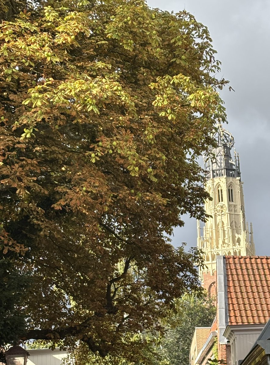 De Bakenessertoren en de herfst in aantocht…