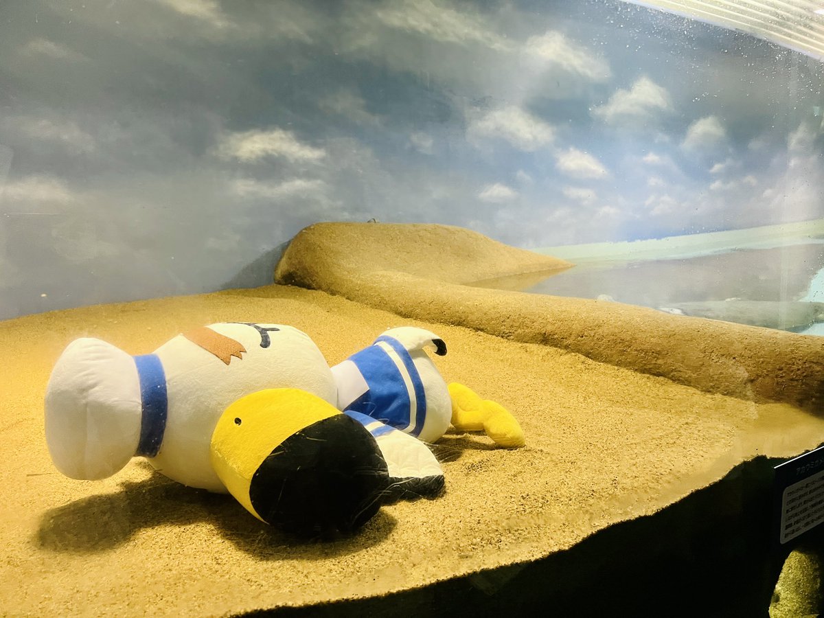 ふくべ (@hukube85) / Posts / X