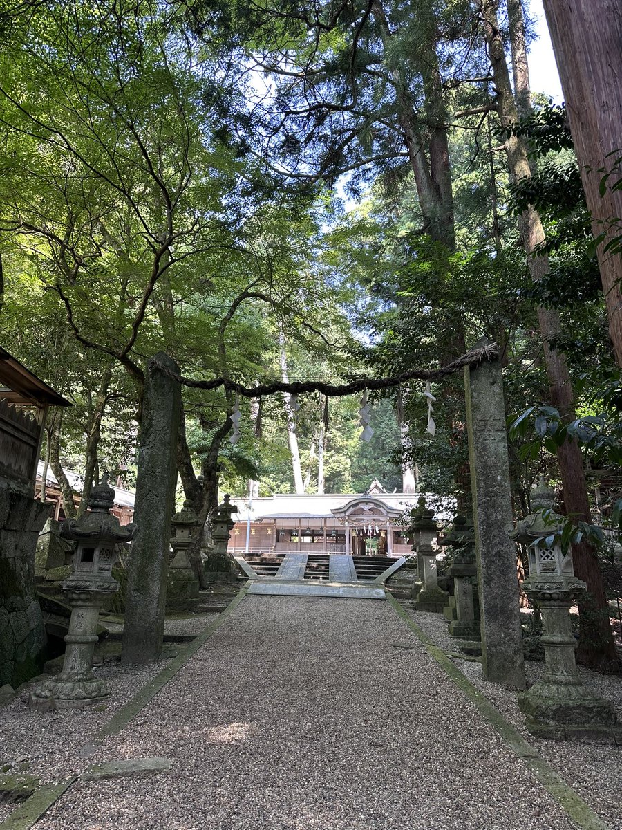 HiroTakechan's tweet photo. #今日の奈良
#今日の奈良公園 番外編
本日は #天理 の #氷室神社
氷の神様をお祀りする神社です🙏
#やっぱり奈良は素晴らしい
#凛とした空気がたまらない
#奈良 #nara #tenri #奈良好きと繋がりたい 
#奈良のシカの代弁者
#奈良公園のことなら竹田さん
#奈良のことなら竹田さん https://t.co/oo4kcAptsx