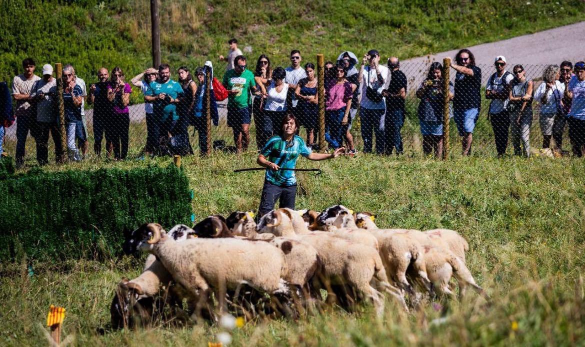 JuntsXCat's tweet image. 📸 El secretari general @jorditurull ha visitat Castellar de n’Hug amb l’alcalde Salvador Juncà i ha assistit a la 61ena edició del concurs internacional de gossos d’atura. 

👉 També ha pogut signar el llibre d’honor de l’Ajuntament. 

👥 L’han acompanyat el vicepresident del…