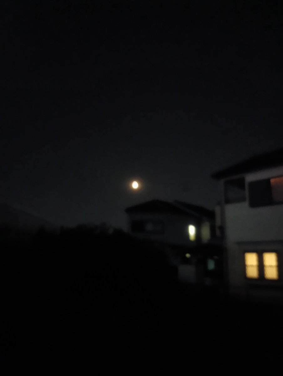 右弦の月美しいよ。外に出てみて