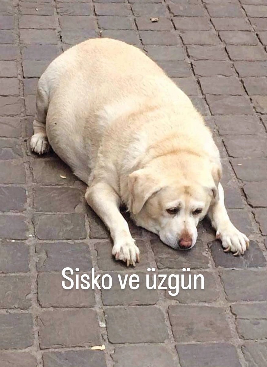 ANLIK (@anlikmod) on Twitter photo 