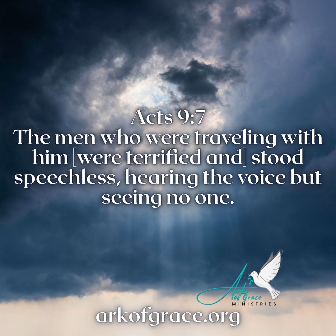 The men who were traveling with him [were terrified and] stood speechless, hearing the voice but seeing no one. Acts 9:7 AMP
arkofgrace.org 

#Christian #Christianity #Jesus #faith #pray #seekthelord #JesusisLord #HolySpirit #God #Bible #WordofGod #Scripture