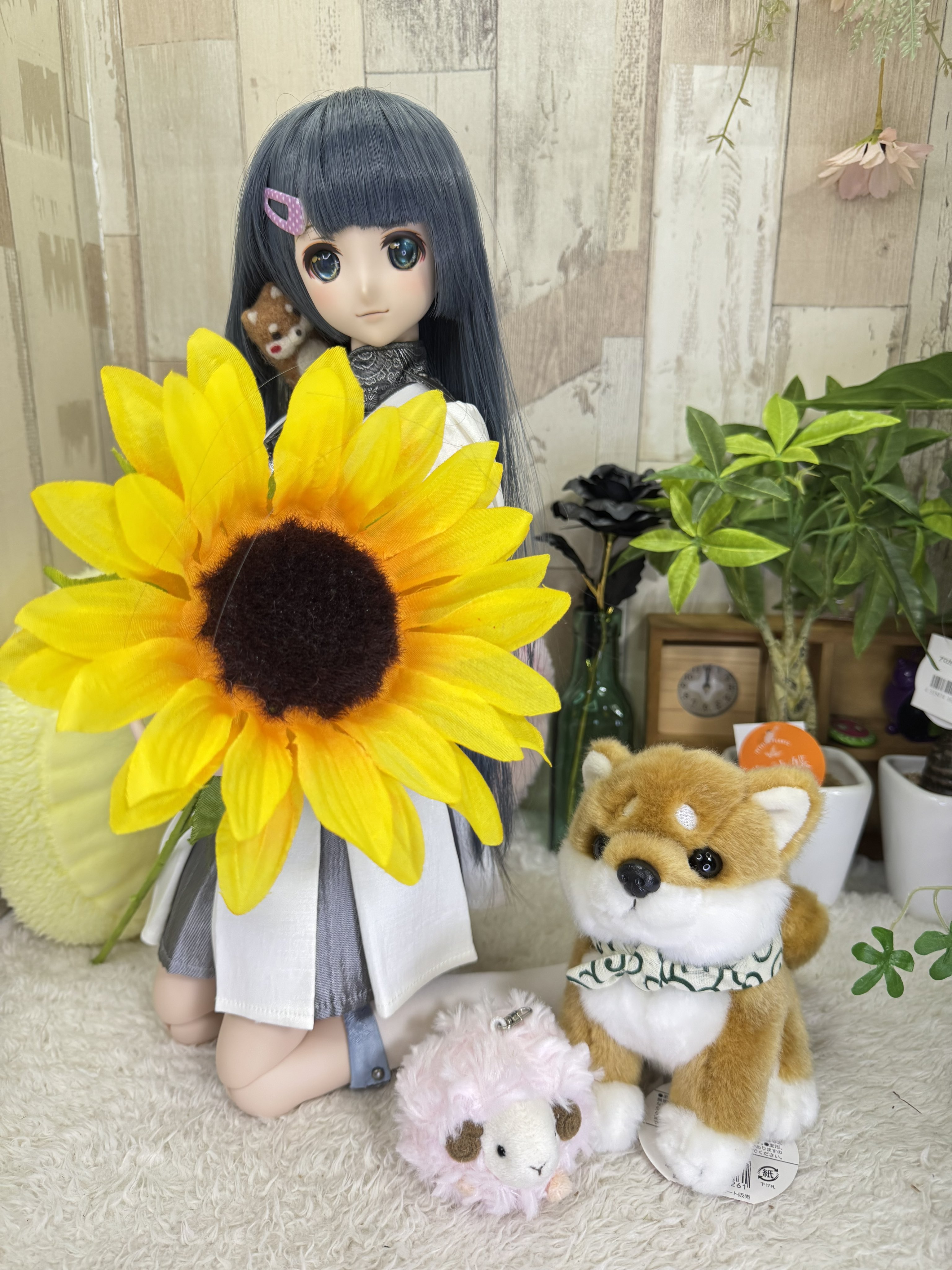 くまきち on X: 