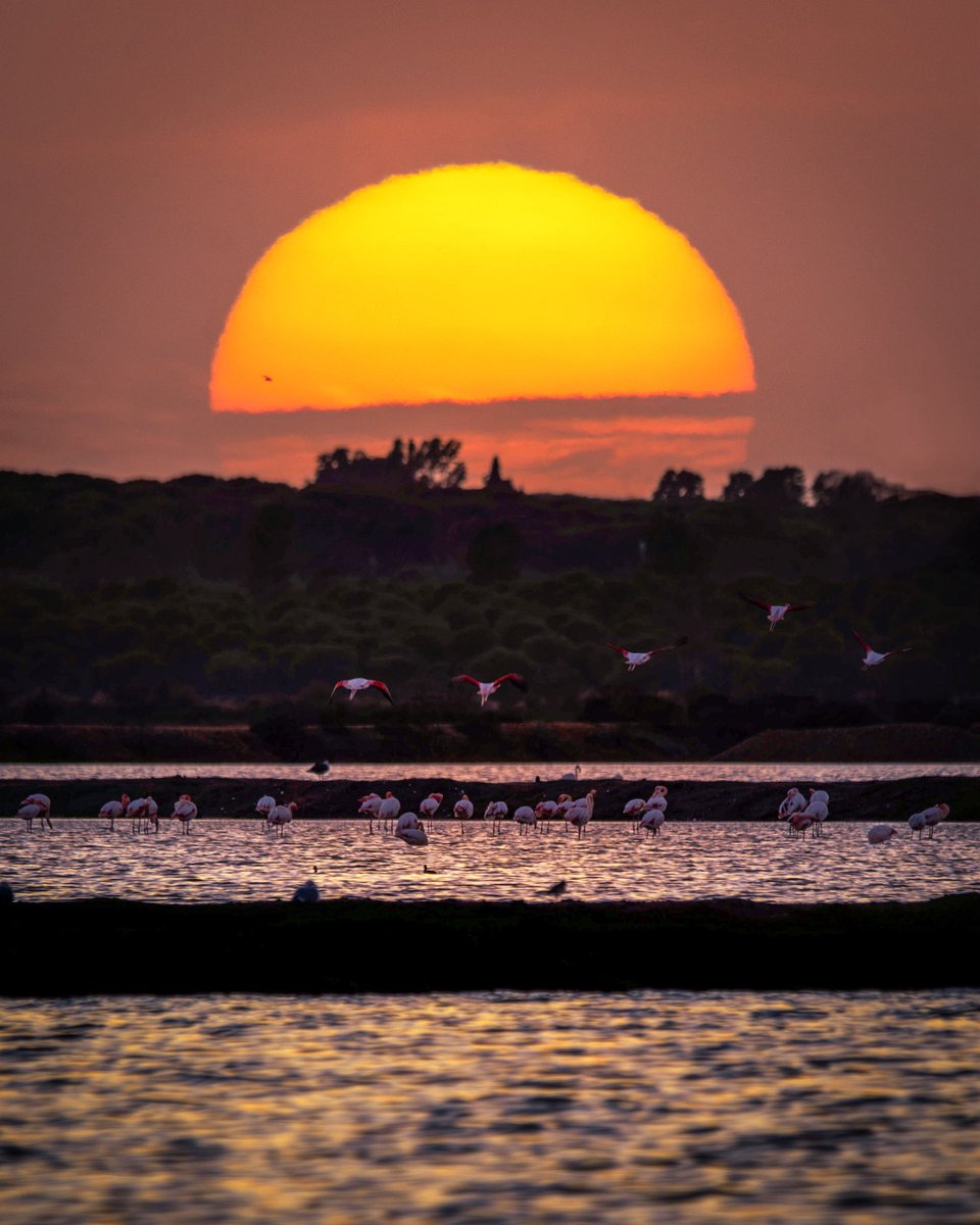 Rafaelsanexp tweet media