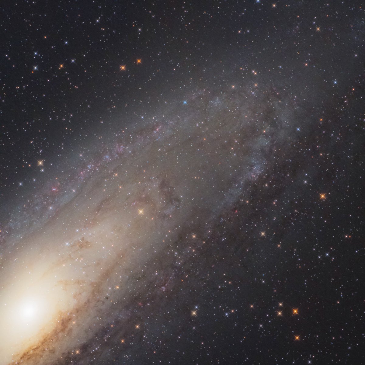 M31です。
いつの間にか夜は涼しくなってましたね。撮影時は長袖を着ないと風邪をひいてしまいます。
ちょっと構図がありきたりかな。
ただ、真四角にM31をどの様に持って来ればかっこいいのやら。
M31の処理は、なんか難しい。