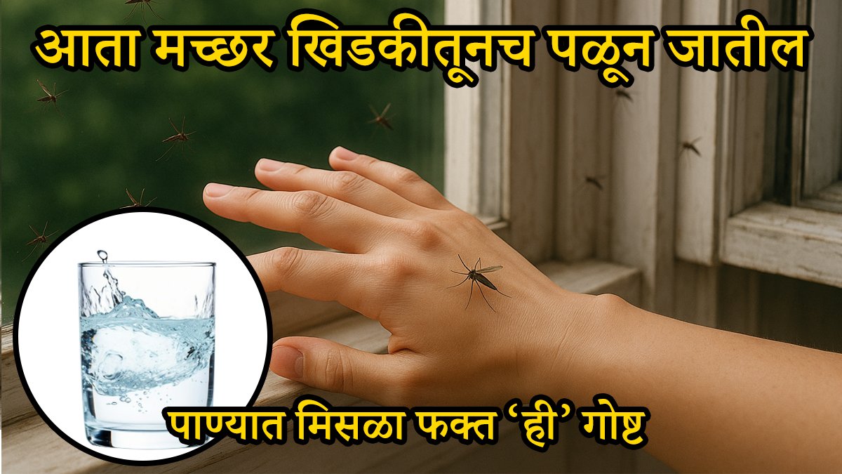 LoksattaLive's tweet photo. घरात एकही मच्छर राहणार नाही! पाण्यात टाका फक्त 'ही' गोष्ट, सगळ्या मच्छर झटक्यात होतील गायब आणि परतही येणार नाहीत
https://t.co/Feikn9qtZt
#mosquito #homeremedy #macchar #tipsandtricks #lifestyle #spray https://t.co/Iv1U3vPKh9