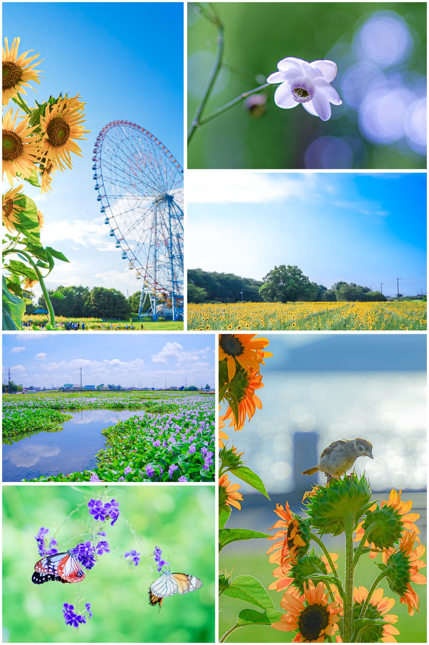 ゆん (@yn_place) / X