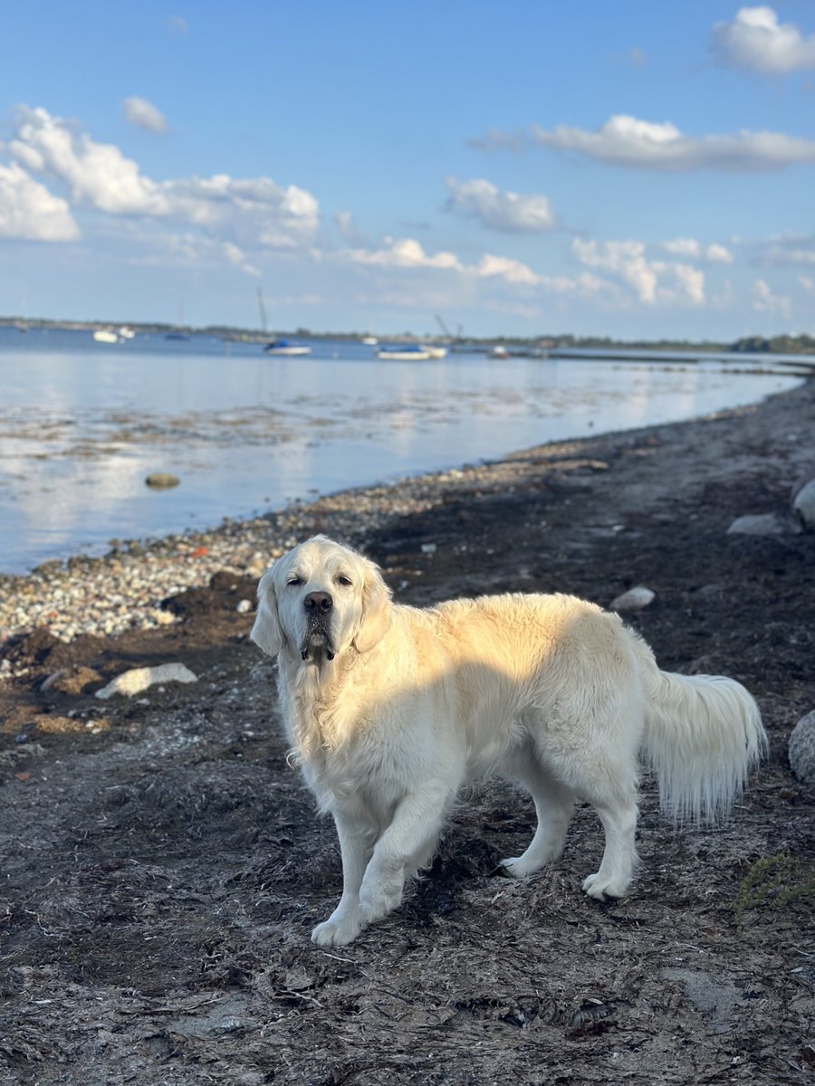 Greatest lesson I’ve learned during my time here on X:

Momentum fades but resilience stays.

Wishing all of you a blessed Sunday!