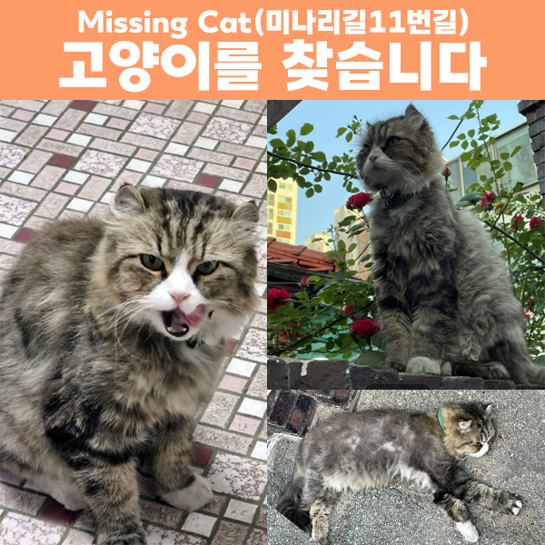 동물보호센터 tweet media