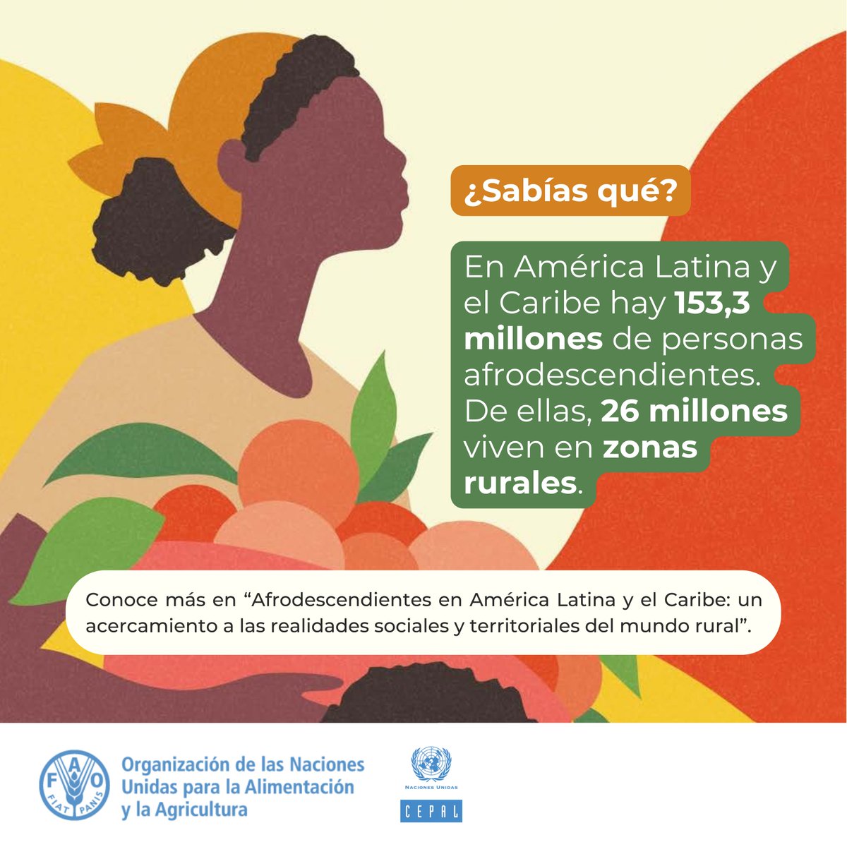 FAOAmericas's tweet image. El 22,5% de la población rural de América Latina y el Caribe es #Afrodescendiente.
📉Sin embargo, enfrentan desigualdades profundas en acceso a tierra, servicios y oportunidades.
🌎Descubre su realidad y aportes en el informe de @FAOAmericas y @cepal_onu 🔗doi.org/10.4060/cd4853…