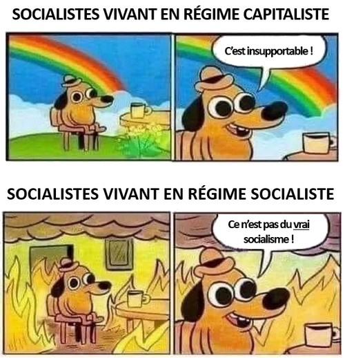 Ceux qui ont vécu les affres du socialisme sont prêts à braver les pires dangers, des balles aux barbelés, à affronter les océans et les pires rigueurs du climat pour y échapper. 

À l'opposé, les plus fervents défenseurs du socialisme vivent dans des pays capitalistes, sirotent