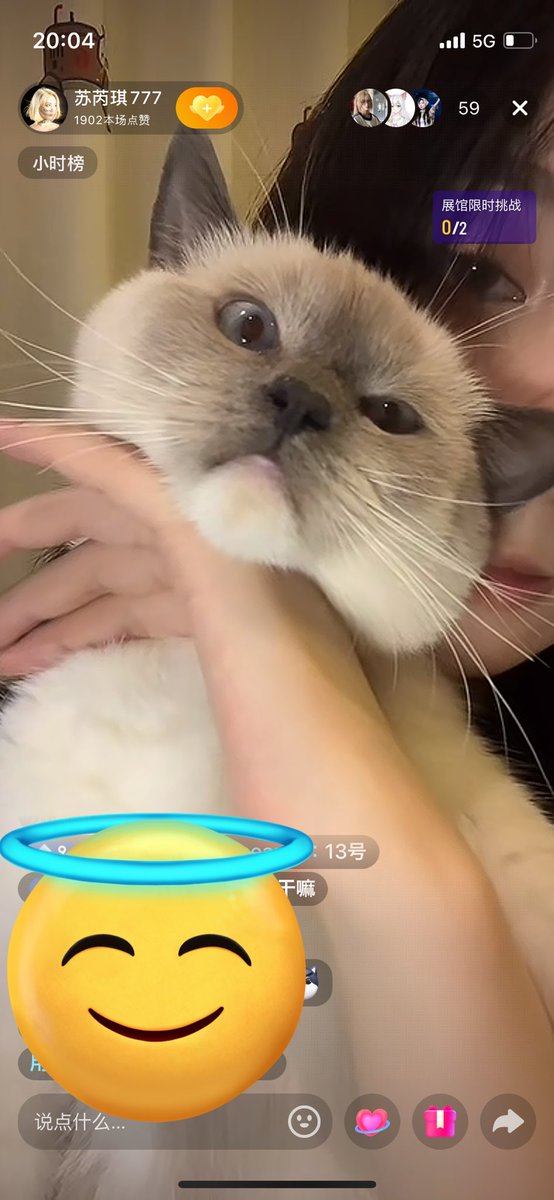 まんまるたこやきあざらし am-703973_6.jpg