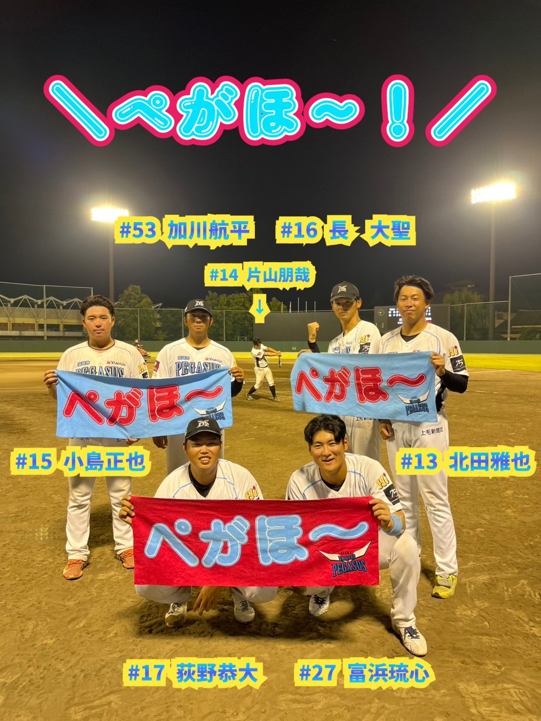 ラミレス選手 群馬ダイヤモンドペガサス シール 群馬ダイヤモンドペガサス：アレックス・ラミレス | kyle | Flickr