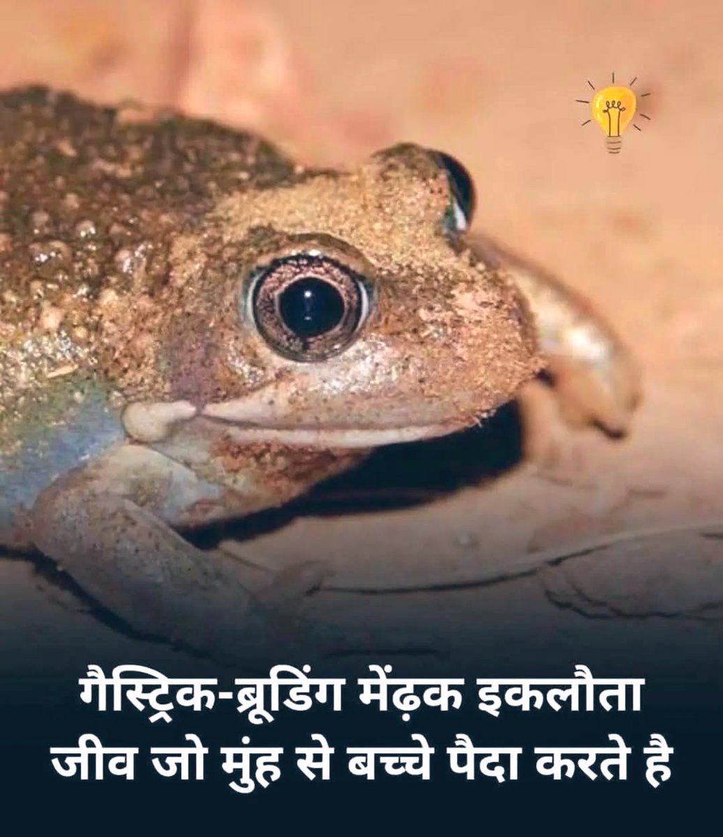 मिल गया…मिल गया। मुँह से बच्चे पैदा करने वाला मिल गया 😂