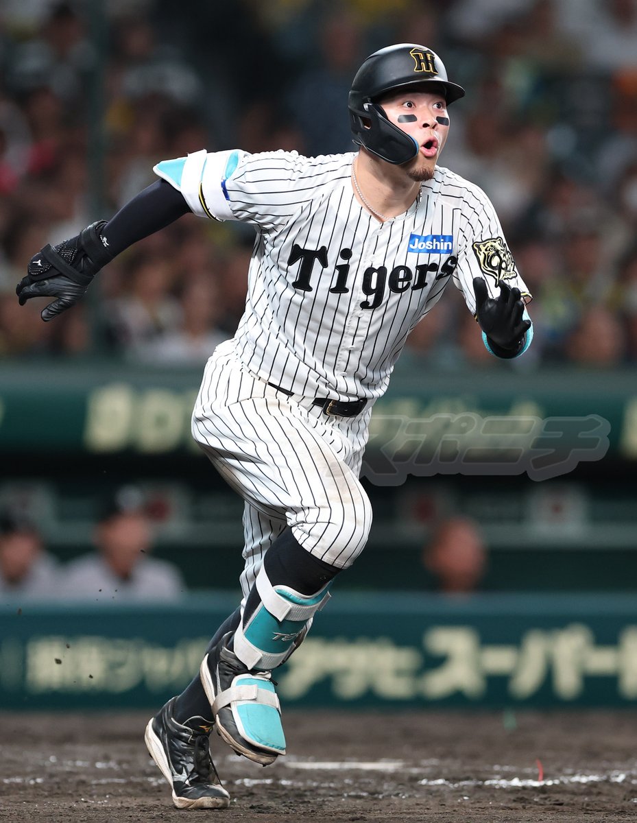 スポニチTIGERSフォト on X