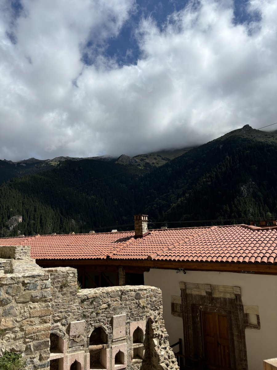 Esme esme da demeye geldim ama devran geber da olanından