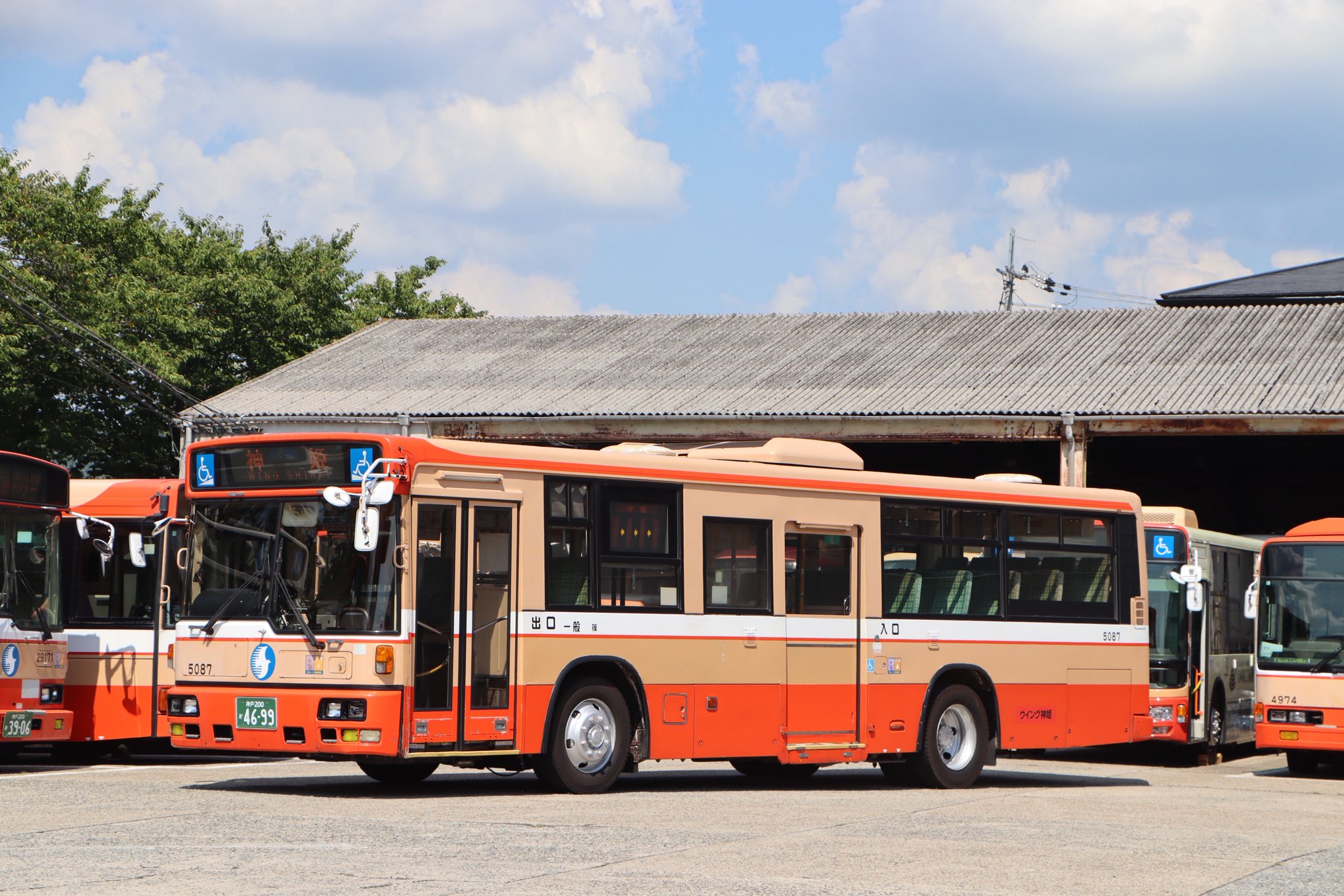 2690夏物語 - البحث / X