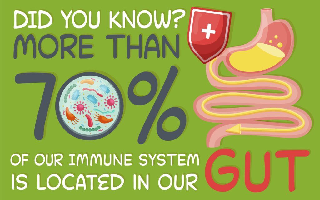 Gout and Gut Health: How Your Microbiome Affects Uric Acid - Making Sense of Gout Click->thegoutsite.com/gout-gut-healt…