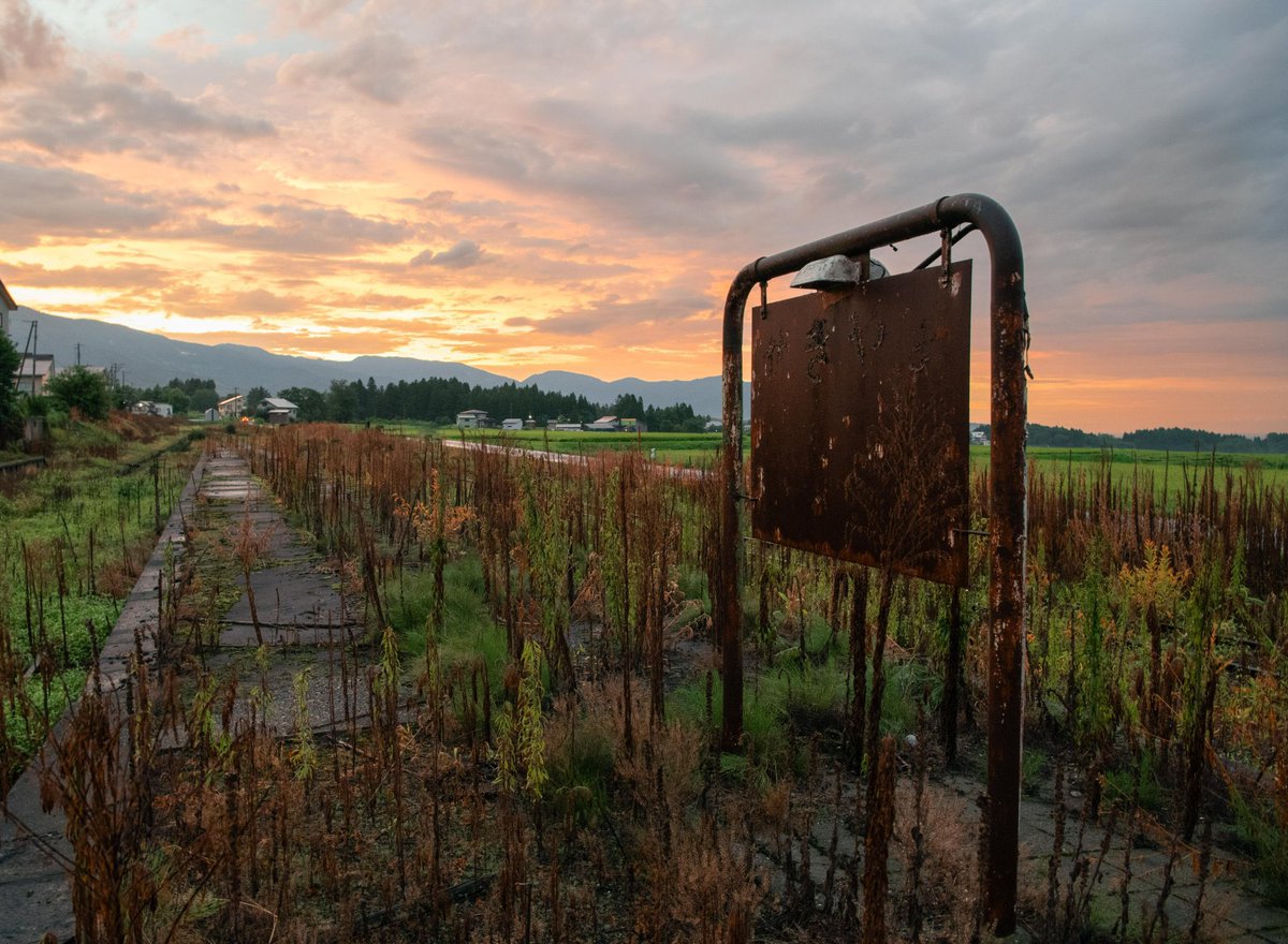 錆びきった駅名標の残る廃駅のホームから見た景色が地球最後の日みたいだった