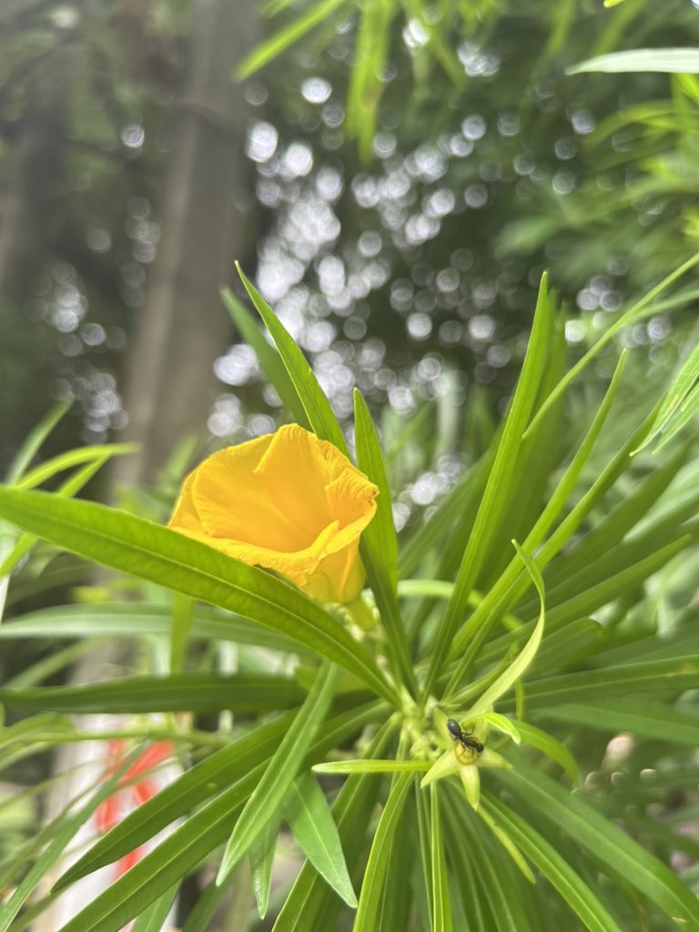 <a href="/KerstiSandstrom/">Kersti Sandström</a> Sunday pic