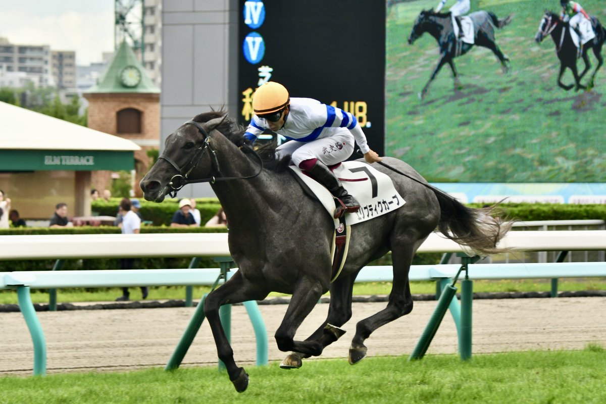 hamshinuma's tweet image. 名優マックイーン由来の芦毛
ベイリー由来のスピード

“メジロ”の血脈が躍動していた

そして返し馬では2歳馬らしいあどけない表情。
#エリプティクカーブ
#レイクヴィラファーム 
#横山武史