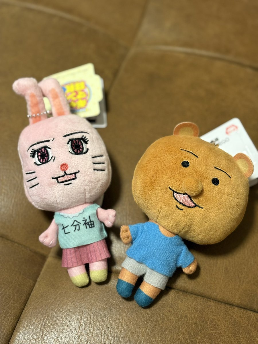 5年前生存率50%未満と宣告され
それから再発はしたものの
5年目の誕生日を迎えることができました
治療頑張ってよかった

写真は初めてUFOキャッチャー連チャンで取れた！ギャグ漫画日和