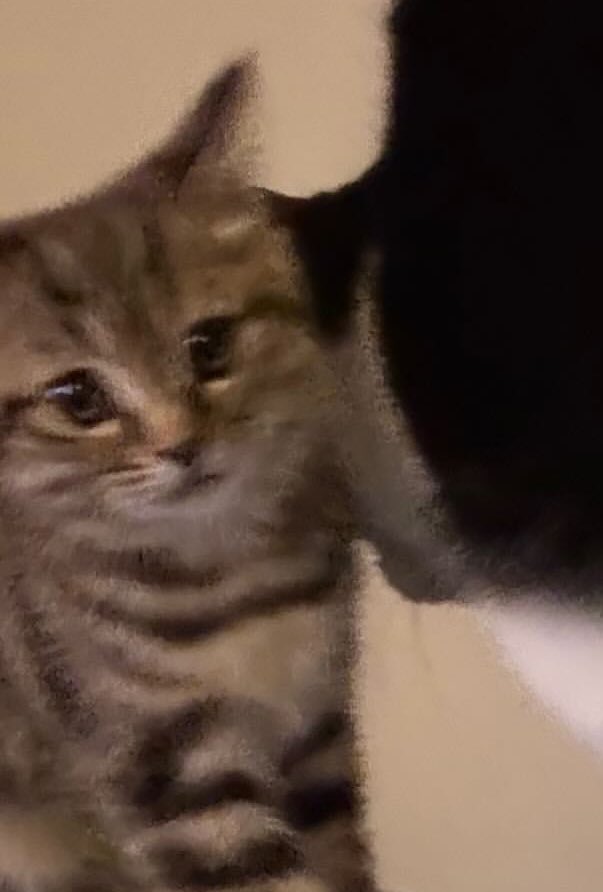 얘랑                                                          얘랑   
                          8살차이 남매임…