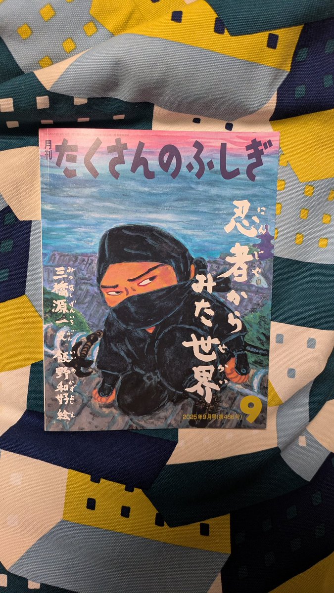 たくさんのふしぎ 11巻セット（6月号無し） 2520223_n.jpg