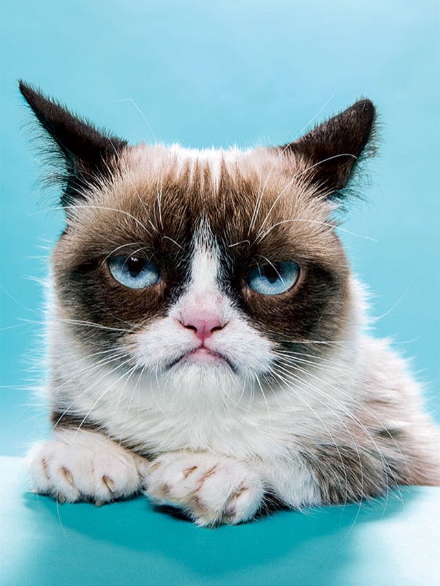 Kundun66's tweet image. The face and mood I take on when you make a 7:30 am breakfast commitment and it’s now 8:45 am and you haven’t shown. #unacceptable